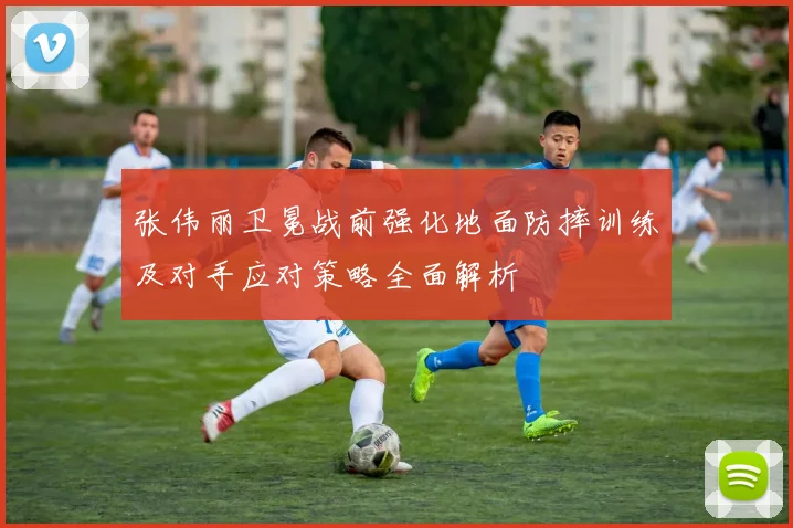 张伟丽卫冕战前强化地面防摔训练及对手应对策略全面解析